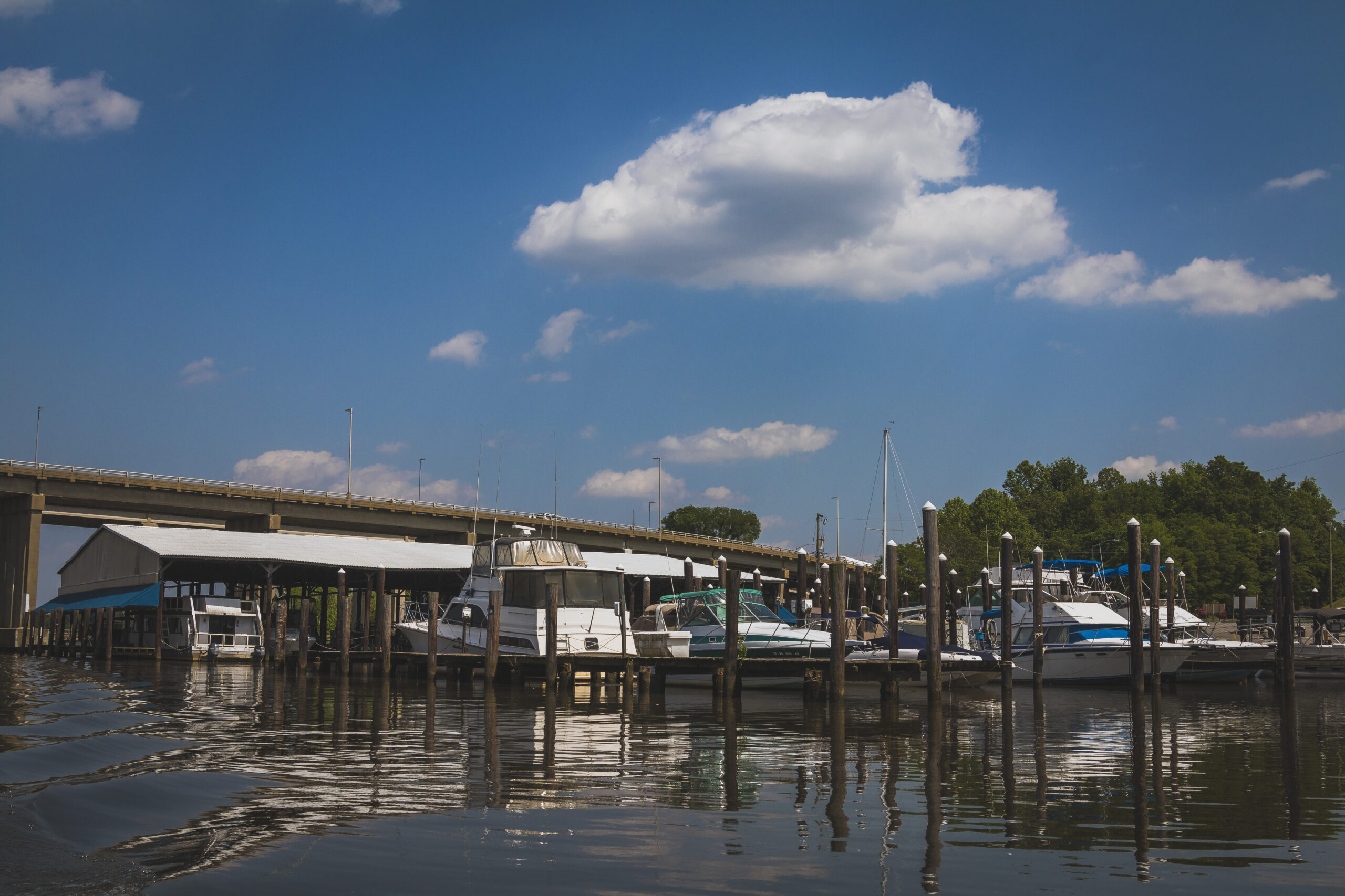 Hopewell Marina (3) Visit Hopewell / Prince VA